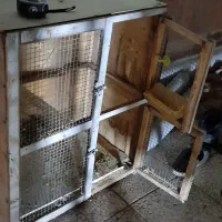 قفس کفتر
