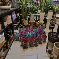 نمایندگی و تولید انحصاری(بی رقیب در کشور)|استخدام بازاریابی و فروش|تهران, هلال احمر|دیوار