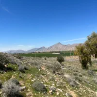 زمین-باغ-ویلا-همه-چی