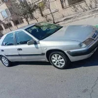 زانتیا نقره ای فنی در حد
