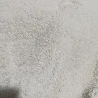 هودی|لباس|گرگان, |دیوار