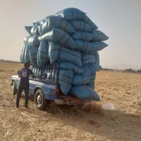 دامداران نگران نباشد من باشما هستم با بهترین کاه|خدمات باغبانی و درختکاری|دهدشت, |دیوار