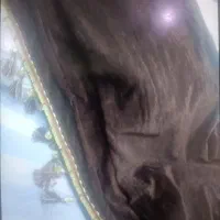 والان مخمل، پرده پذیرایی،پرده ریسه ای|پرده، رانر، رومیزی|کرج, ساماندهی|دیوار