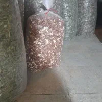 آلو تخمه بادام زمینی با بالاترین کیفیت|خوردنی و آشامیدنی|کاشان, شهدا|دیوار