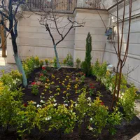 باغبانی و سمپاشی درختان در تمام نقاط شهر