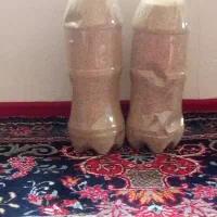بذر درمانی
