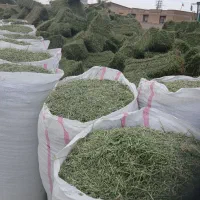 یونجه درجه ۱