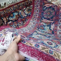 فرش|فرش|شاهرود, |دیوار