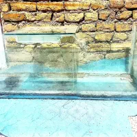 حراج اکواریوم ۱۲۵ در۴۰ در۴۰