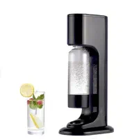 دلستر ساز خانگی