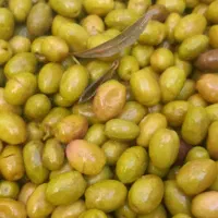 زیتون زرده محلی .محصول باغ جلو در