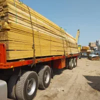 خرید فروش چوب روسی و ایرانی