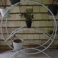 استند گل سالم