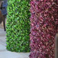 چمن مصنوعی وگرین وال مخصوص فضای لوکس شما