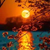 راهنمایم کنید