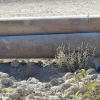 اجاره لوله جدار و تانک|مصالح و تجهیزات ساختمان|گلپایگان, |دیوار