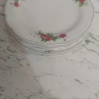 بشقاب گل سرخ