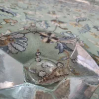 لوچ دلقک پاکستانی|ماهی|پاکدشت, پارچین|دیوار