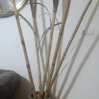 گل و گلدان بامبو