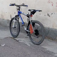 دو عدد دوچرخه