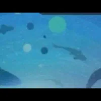 کتاب دانشگاه پیام نور الهیات و علوم ورزشی حد نو