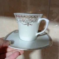 سرویس چینی پردیس ۱۲ نفره نو|ظروف سرو و پذیرایی|سنندج, |دیوار