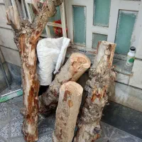 چوب
