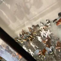 مجسمه|کلکسیون اشیاء عتیقه|کرج, عظیمیه|دیوار