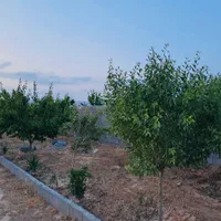 باغ سند 6 دانگ ملکی داخل مجتمع ویلایی با آب نگهبان|فروش زمین و ملک کلنگی|مشهد, درزآب|دیوار
