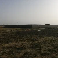 دامداری