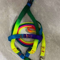 قلاده نونو|لوازم جانبی حیوانات|اصفهان, میرعماد|دیوار