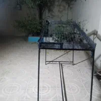 لوازم میوه فروشی|فروشگاه و مغازه|جم, |دیوار