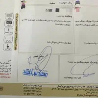 تویوتاپرادو انرود ۲۰۱۰ درجه یک|خودرو سواری و وانت|مشهد, کوشش|دیوار