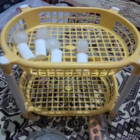 ظروف...|ظروف سرو و پذیرایی|خوی, |دیوار