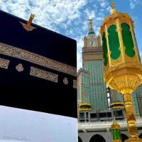 خریدار و فروشنده فیش حج واجب و عمره
