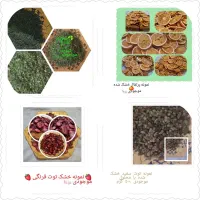 فروش انواع میوه خشک وسبزیجات با کیفیت عالی