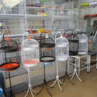 قفس و ملزومات پرندگان