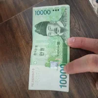 پول کره ای وون