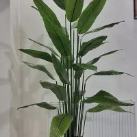 درختچه مصنوعی پرنده بهشتی