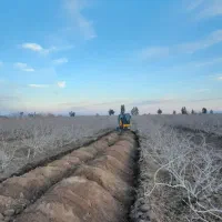 مینی بیل مکانیکی کانال خاکبرداری چالکود|خدمات باغبانی و درختکاری|رفسنجان, |دیوار