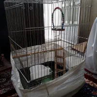 قفس پرنده
