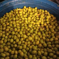 زیتون کنسروی و شکسته