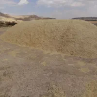 کاه دیم حدود ۳ نیم