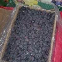 خرما مضافتی درجه یک|حراج|بیرک, |دیوار