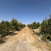 2400 باغ 8ساله  ورودی هماشهر|فروش خانه و ویلا|همایجان, |دیوار