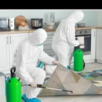 سم پاشی شورم