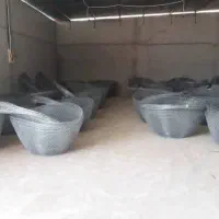 گرگور|ماهیگیری|بوشهر, |دیوار