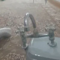 شیر دشیوئی مارک قهرمان