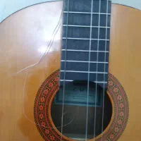 گیتار|گیتار، بیس، امپلیفایر|تهران, باغ فیض|دیوار