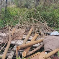 قطع وهرس درخت با اره موتور، فروش چوب گردو|خدمات باغبانی و درختکاری|چالوس, |دیوار